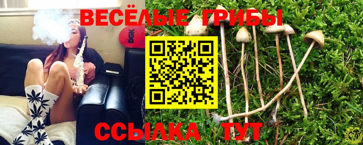 Псилоцибиновые грибы GOLDEN TEACHER Магадан